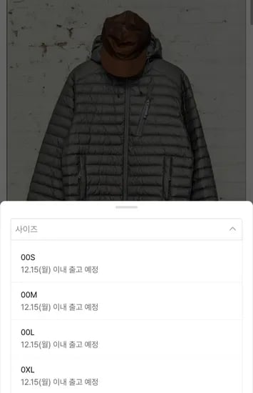 헤지스 경량 구스 다운