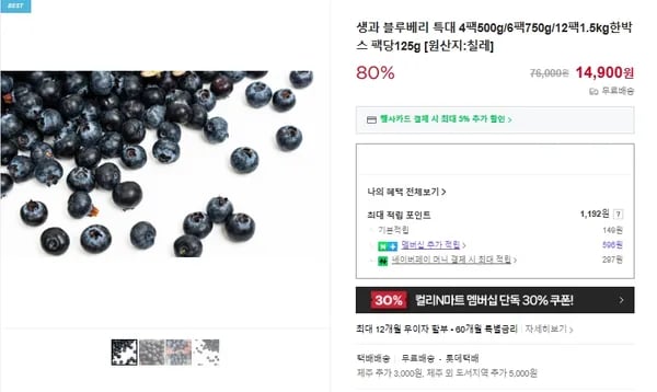 생과 블루베리 특대 4팩 500g
