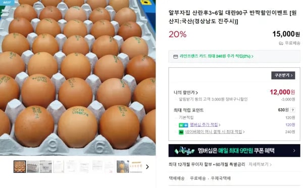 계란 90구