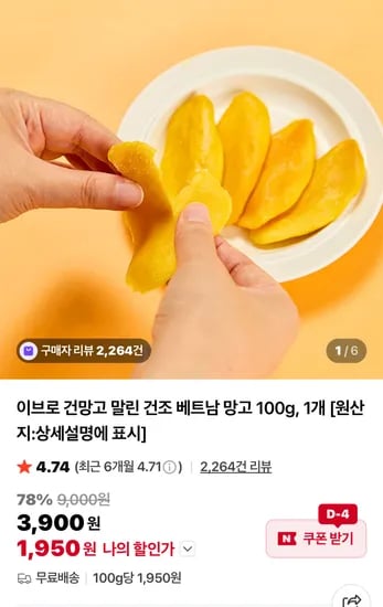 건망고 100g 1950