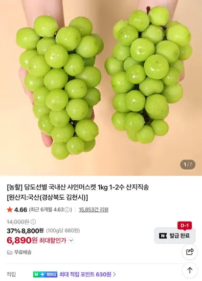 당도선별 국내산 샤인머스켓 1kg 1-2수 6890원