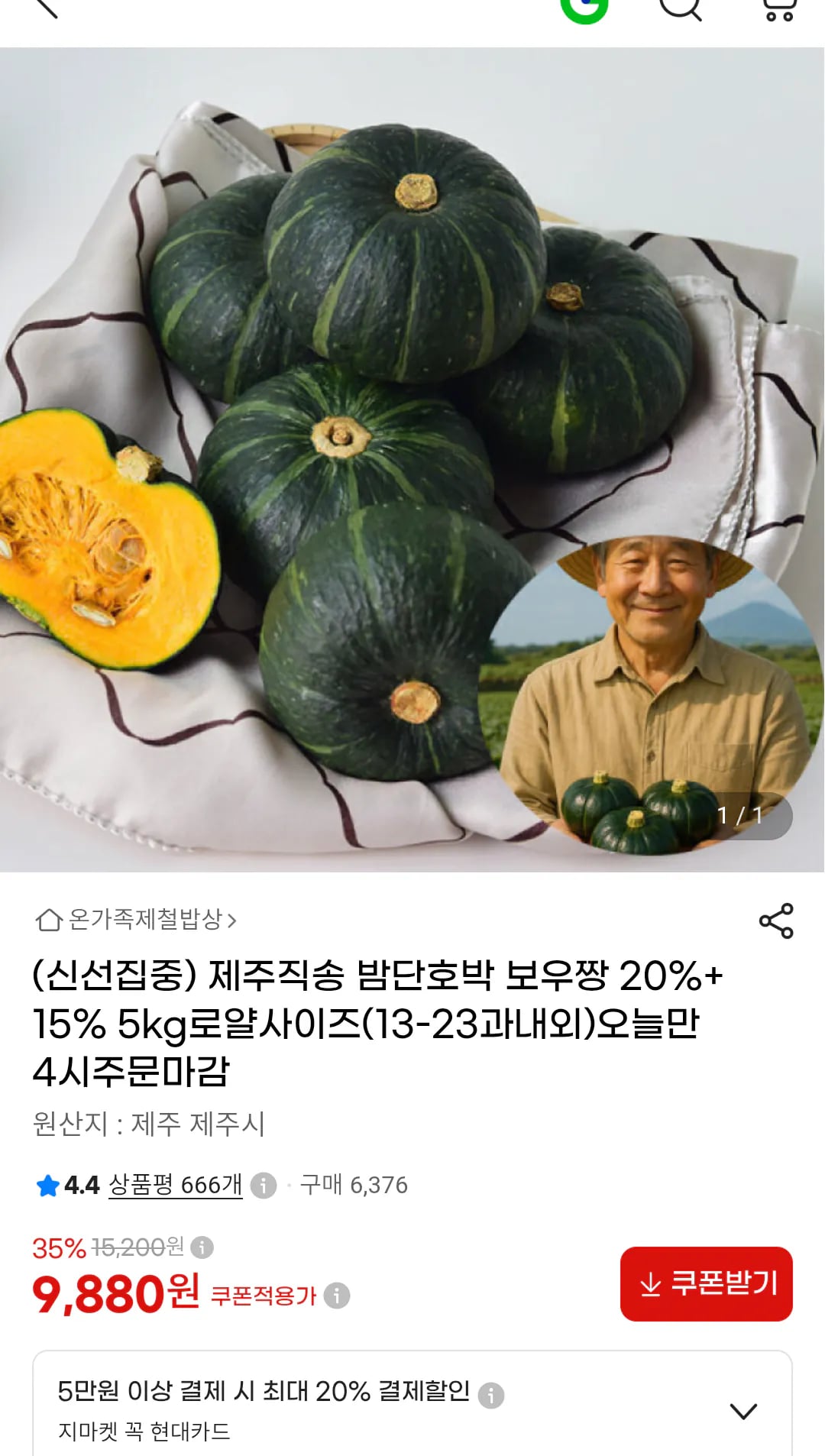 제주직송 밤단호박 보우짱 5kg 로얄과