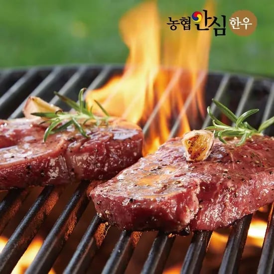 농협안심한우 1++등심 600g 구이용