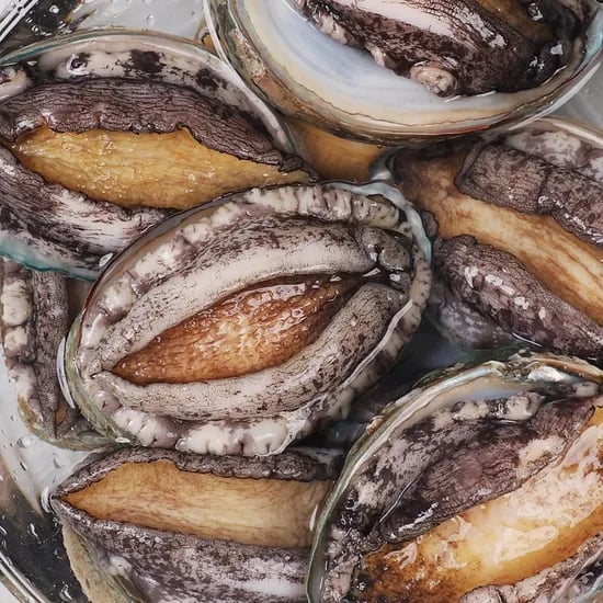 완도 활전복 1kg (11-12미) 특대
