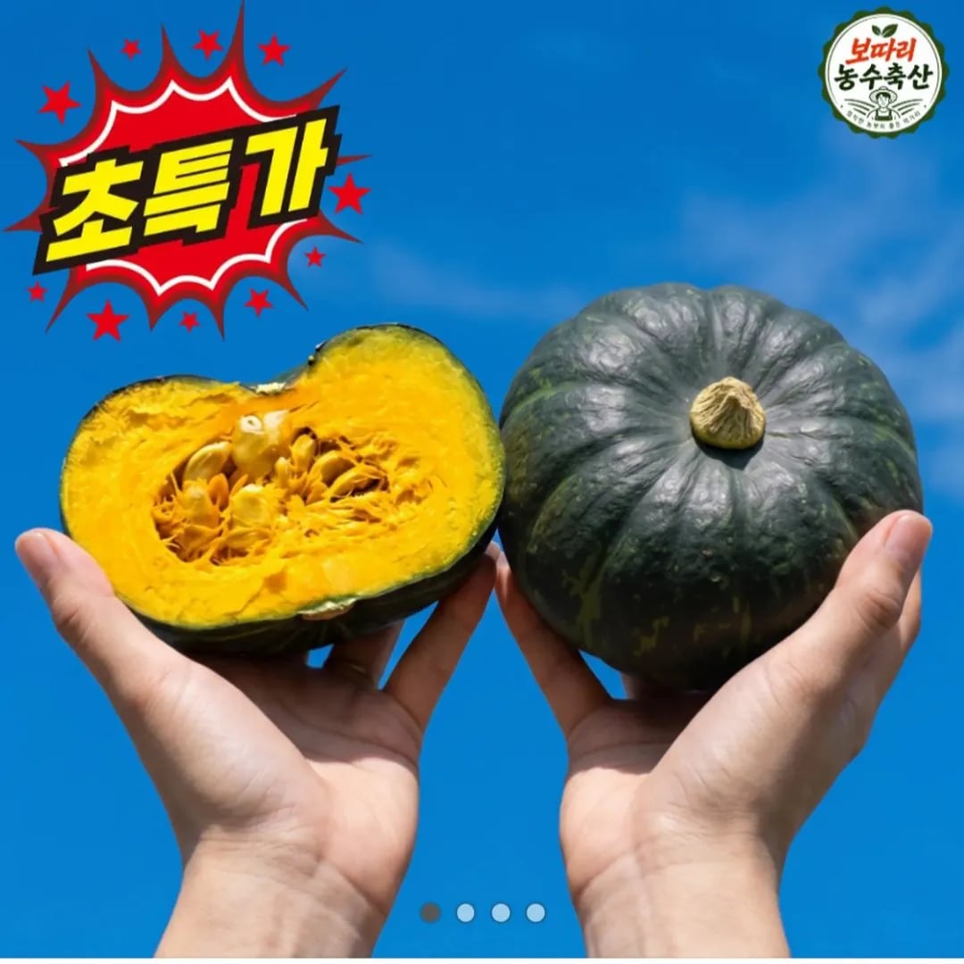제주산 미니밤호박 5kg