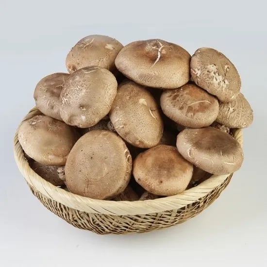 표고버섯 실속형 1kg