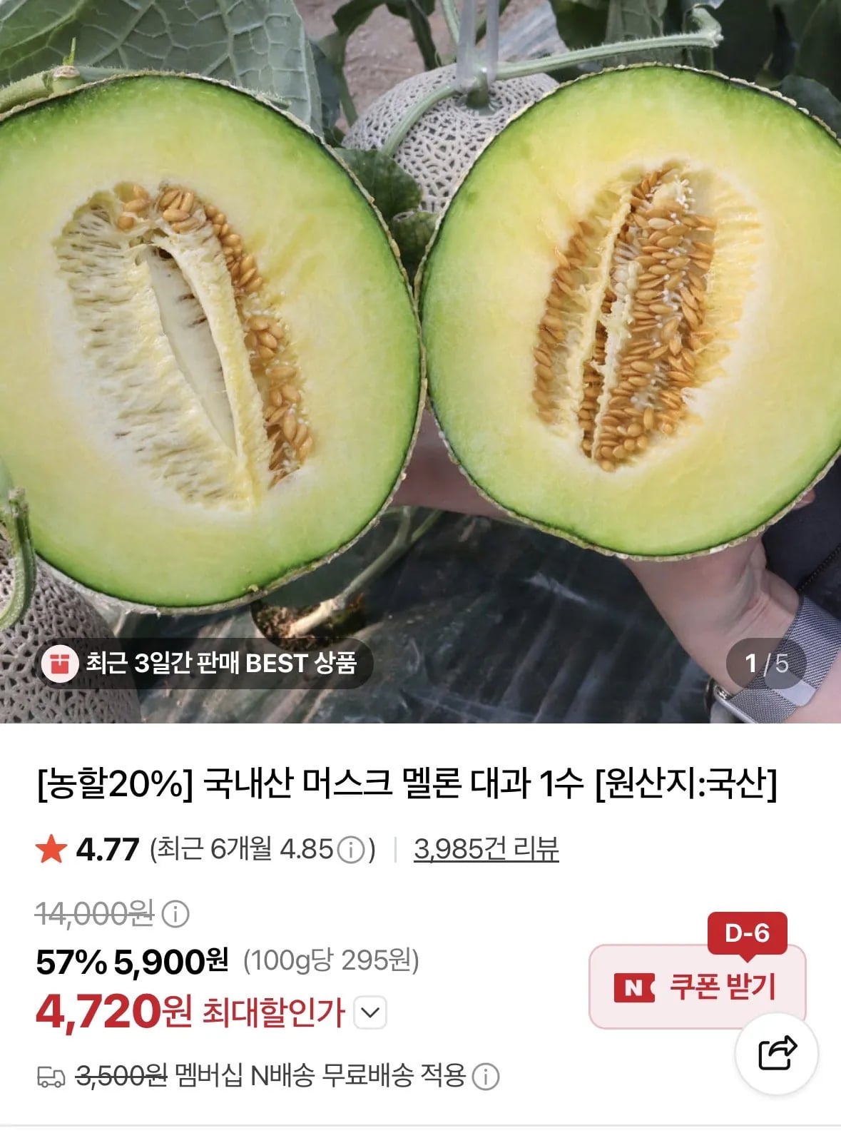 머스크멜론 대과 1수