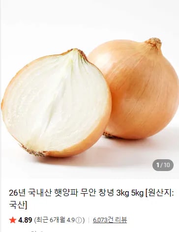햇양파 1.5kg 중사이즈