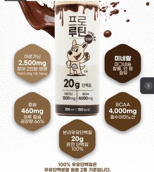 프로루틴 마시는 아르기닌 단백질음료 초코 250ml 12개