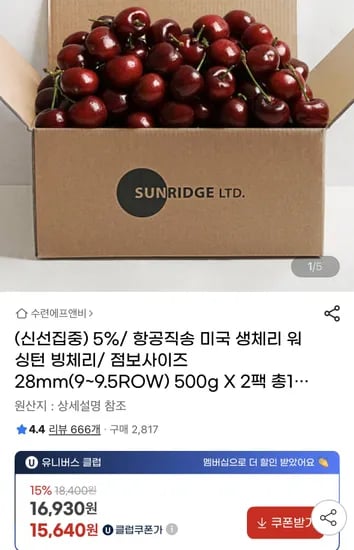 항공직송 워싱턴 생체리 9~9.5row 특대사이즈 1kg