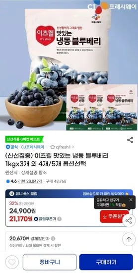 이츠웰 맛있는 냉동 블루베리 1kg 3개