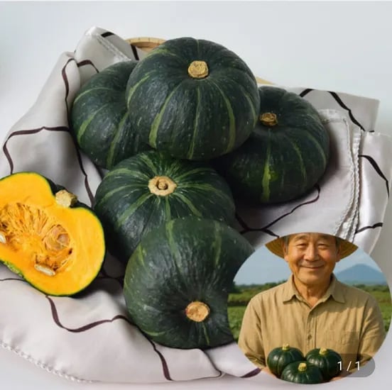 제주산 미니 밤호박 보우짱 특품 7kg