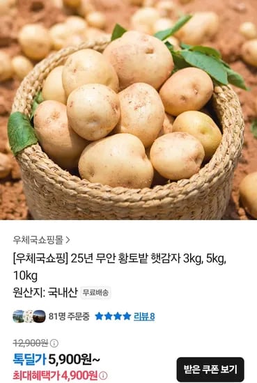 25년 무안 황토밭 햇감자 3kg 중