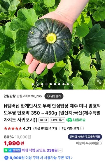 제주 밤호박 로얄과 350 ~ 450g