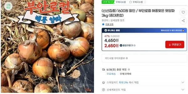 부안로컬 해풍맞은 햇양파 3kg (중대혼합)