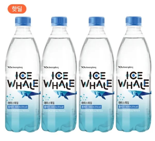 아이스웨일 플레인 500ml 20입