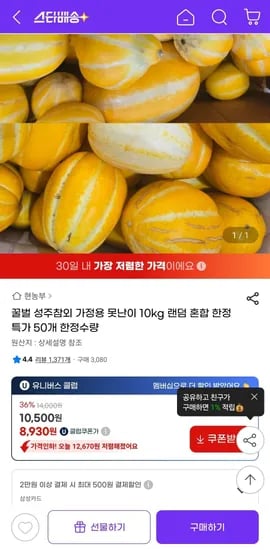 꿀벌 성주참외 가정용 못난이 10kg 랜덤 혼합 한정 특가 50개 한정수량