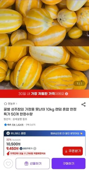 꿀벌 성주참외 가정용 못난이 10kg 랜덤 혼합 한정 특가 50개 한정수량