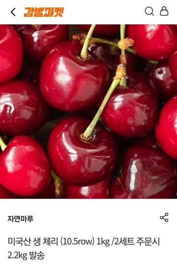 미국산 생 체리 10.5row 1kg