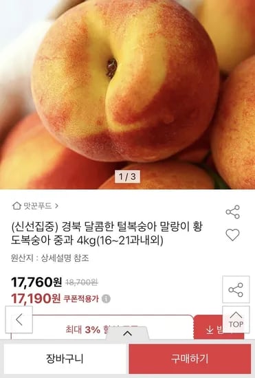 황도복숭아 4kg 중과 16~21과