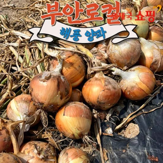 해풍맞은 햇양파 중대혼합 3kg