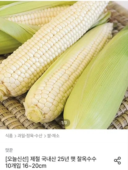 제철 국내산 햇 찰옥수수 22개 16~20cm
