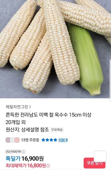 미백 찰 옥수수 15cm이상 20개