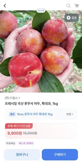 후무사 자두 특대과 1kg
