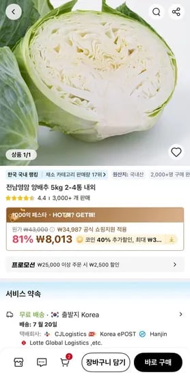코인딜) 전남영암 양배추 5kg 2-4통 내외