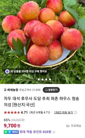 의성옥자두 2kg