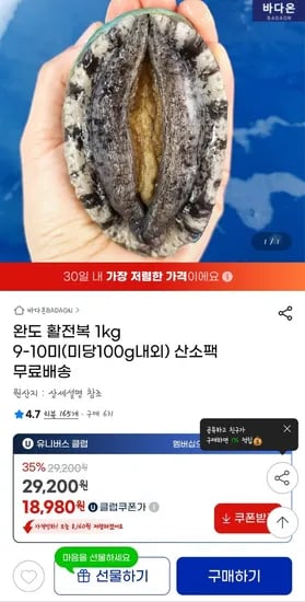 완도 활전복 1kg 9-10미(미당100g내외) 산소팩