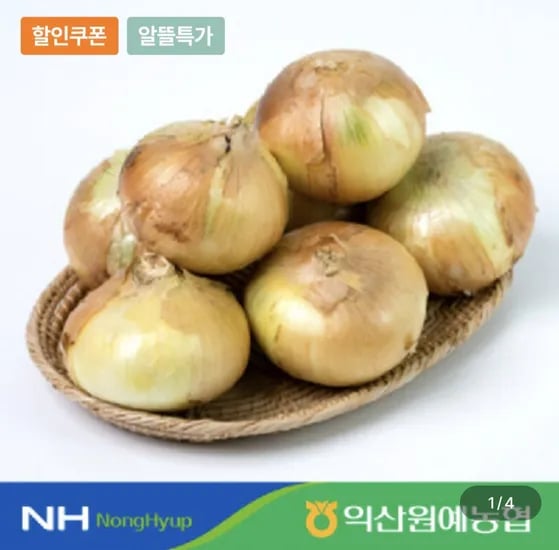 양파 5kg 중대사이즈