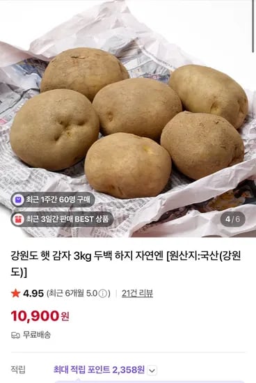 강원도 두백 햇 감자 3kg