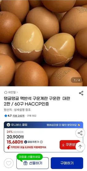 구운란 2판 60구