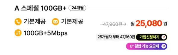 LG망 100기가+5Mbps 24개월