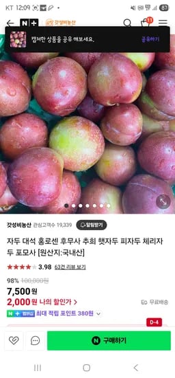 갓성비농산 자두 대석 홍로센 후무사 추희 햇자두 피자두 체리자두 포모사 500g 2500원(룰렛5천쿠)