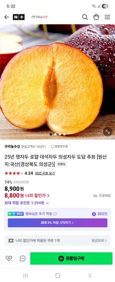 원쁠딜 구리농수산 25년 햇자두 1kg 소중소혼합 8,800원