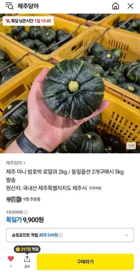 카카오) 제주 미니 밤호박 로얄과 2kg 9,900원 무뱁