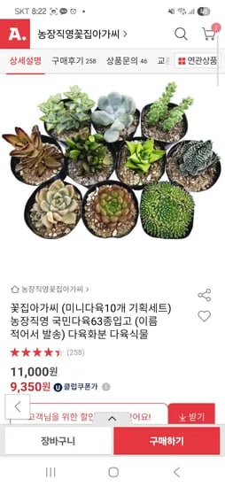 옥션) 농장직영 다육 식물화분 9,350원 무배