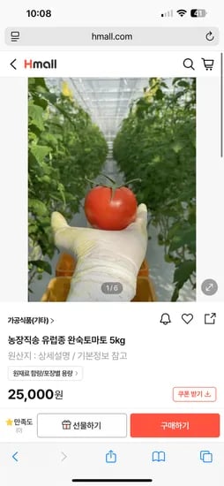h몰 80% 토마토5kg 5000원