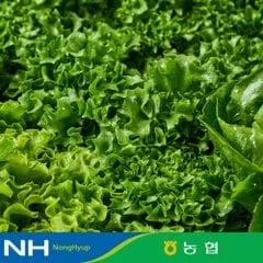 SSG) 식식한상 유러피안 샐러드 4종 1kg 3,950원~ 가격오름