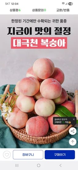 지마켓)대극천 복숭아 1kg(5-9과내외)/로얄과 12,210원
