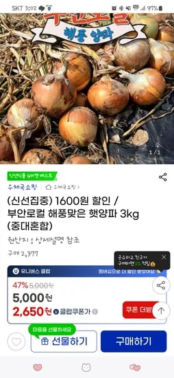 지마켓 부안 햇양파 3키로 중대혼합 2650원 무배!