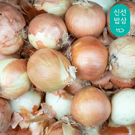 11번가) 싱싱한 국내산 햇 양파 중/소 3kg 4800원