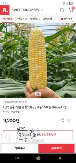 옥션) 초당옥수수 특품 10개입(14cm이상) 10,110원 무배