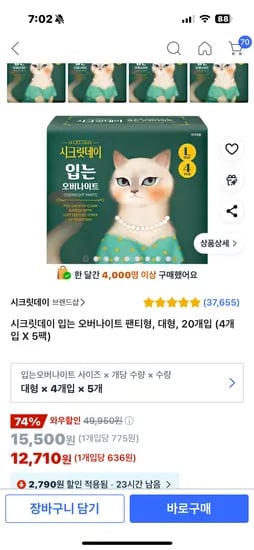 쿠팡)시크릿데이 입는 오버나이트 대형 20개 12710원