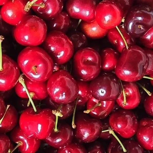 롯데온) 항공직송 미국 생 체리 500g 2팩 총1kg 13990원 무료