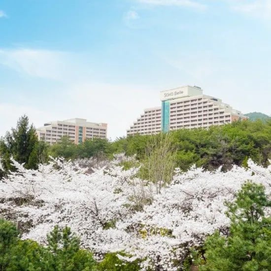 11번가) 60분러시 소노벨단양 1박+올인클루시브 3/4인패키지 185,000원~