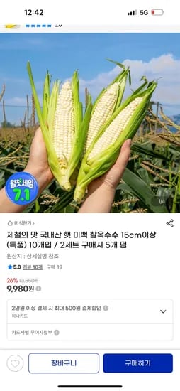 지마켓) 국내산 찰옥수수 15cm이상 10개입 9,980원 (2세트구매시 5개덤)