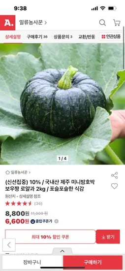 옥션) 국내산 제주 미니밤호박 2kg 7920원 무배